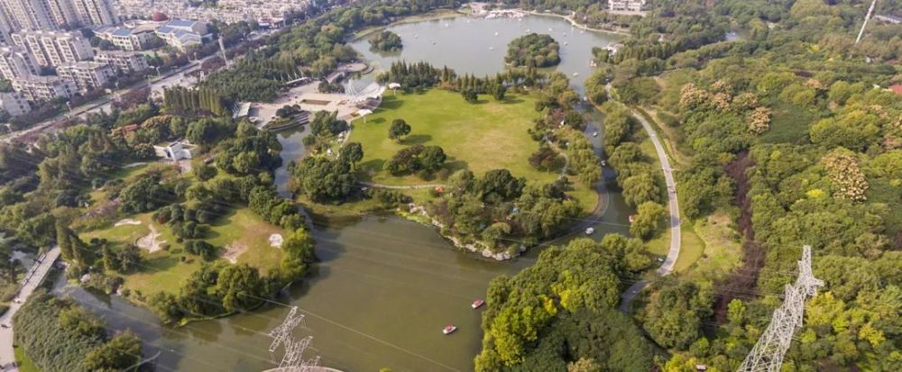 按照城市公园标准,加快推进森兰,碧云,三林,桃浦楔形绿地建设,确保"