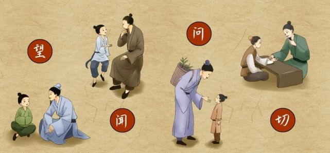 现实生活中,临床治病虽然也严格遵循四诊法,但是中医体检中的"四诊"