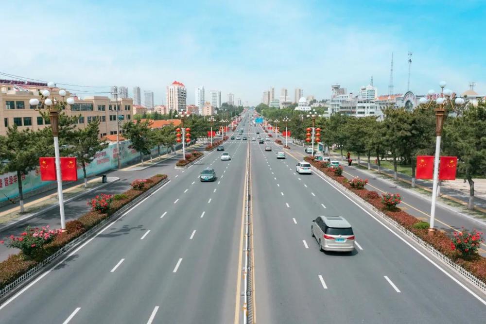 翔海集团月季花怒放扮靓乳山城市街景