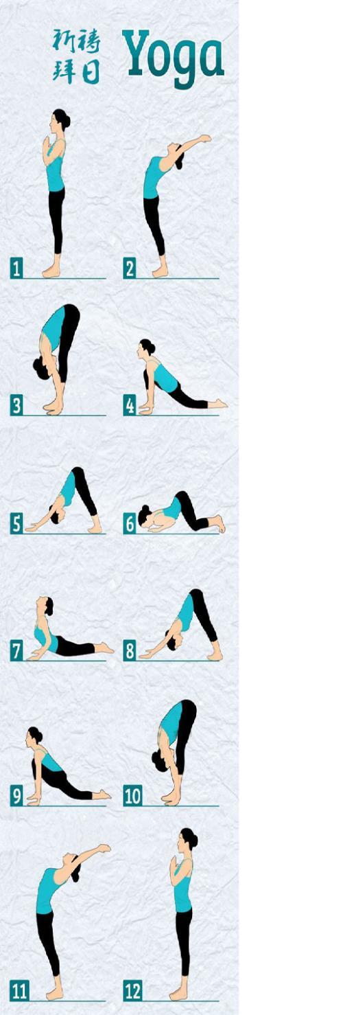 1,流程:祈祷式准备-手臂伸展式-前屈式-骑马式-顶峰式-大拜式-八体