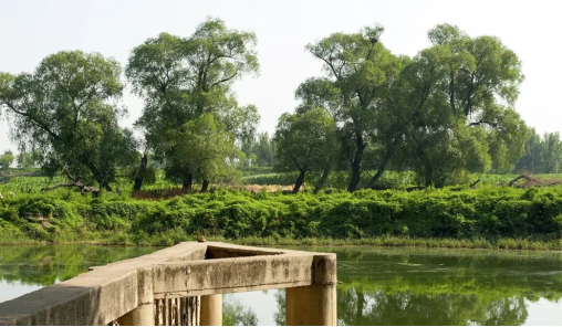 五百户镇厉害了一起为家乡加油