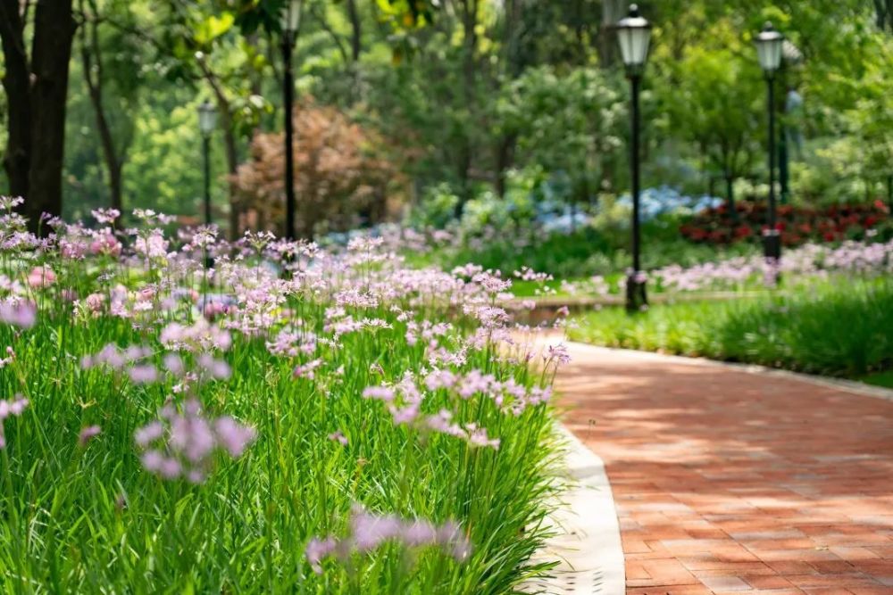 总面积约41000m太平桥公共绿地全新亮相