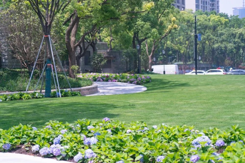 总面积约41000m太平桥公共绿地全新亮相