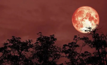 血月亮预示着什么(血月亮预示着什么1)