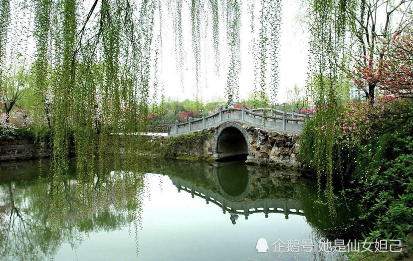 八首送别诗 见证李白的似水柔情 句句珠玑 深情款款 腾讯新闻