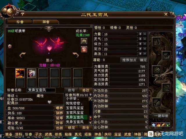 天龙八部全服第一宝宝控收藏稀有宝宝无数价值堪比7级号