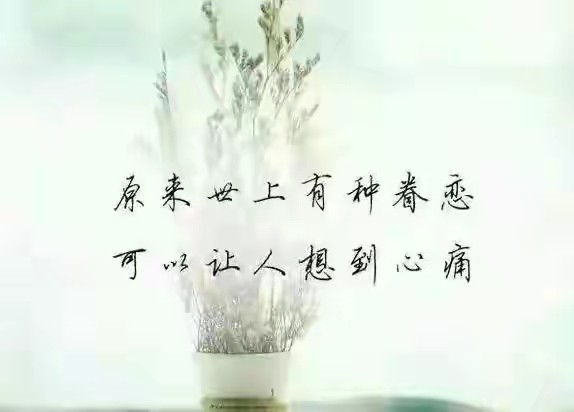 時光荏苒我在思念中等你想你時光不老我們不散