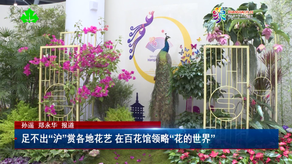 足不出沪赏各地花艺在百花馆领略花的世界