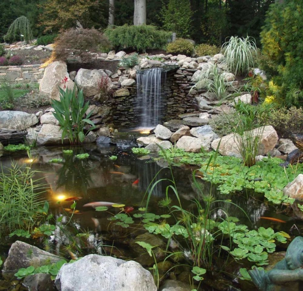 庭院的一汪水,消解心头的暑意