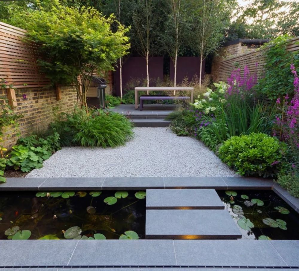 庭院的一汪水,消解心头的暑意