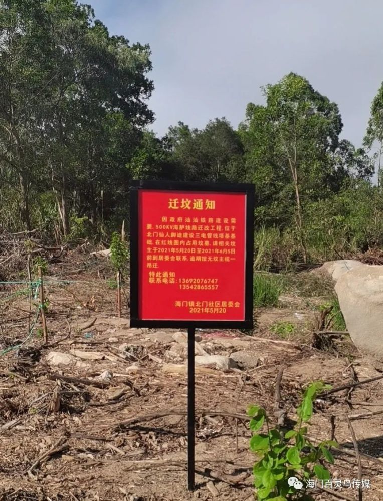 迁坟通知,截止到6月5日!