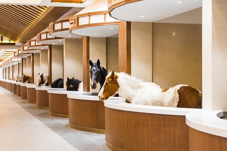 皇家马厩案例3鼎盛王朝·康熙大典:旅游 演艺 塑造皇家文化特色矛片