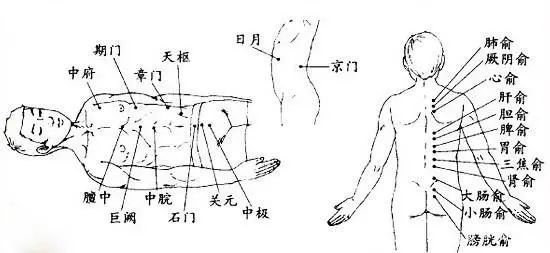 十二募穴是脏腑募集精气的要穴可灸除脏腑百病之邪