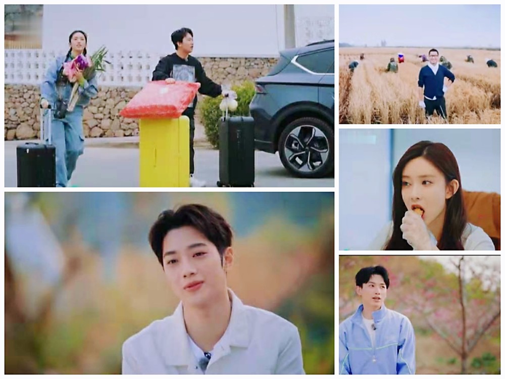 桃花坞宋丹丹言语犀利张翰硬钢家族成员各有破解小妙招