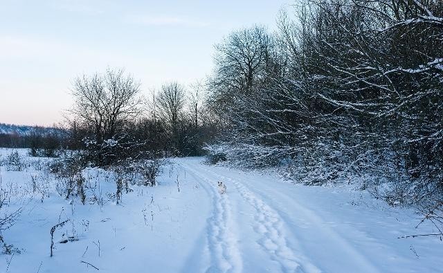 24句下雪天的心情說說選一句發到朋友圈