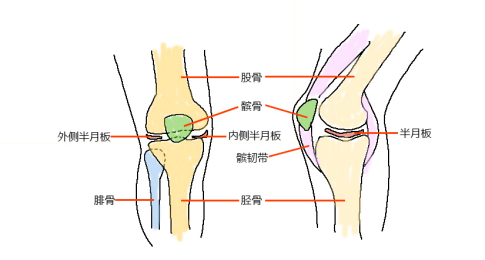 膝蓋疼痛千萬別忍著