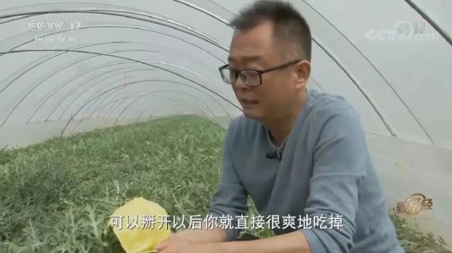 中央致富农业套餐有哪些_中央7套农业致富经_中央7农业致富节目