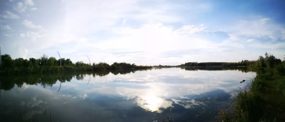 伊犁河湿地芳草湖掠影