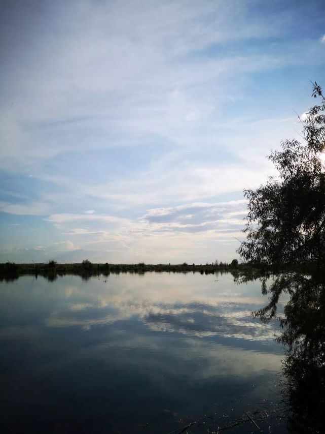 伊犁河湿地——芳草湖掠影