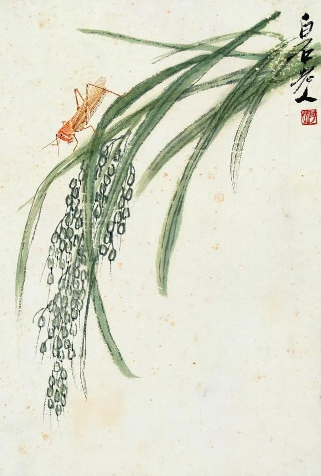 齐白石先生绘稻香图作品欣赏