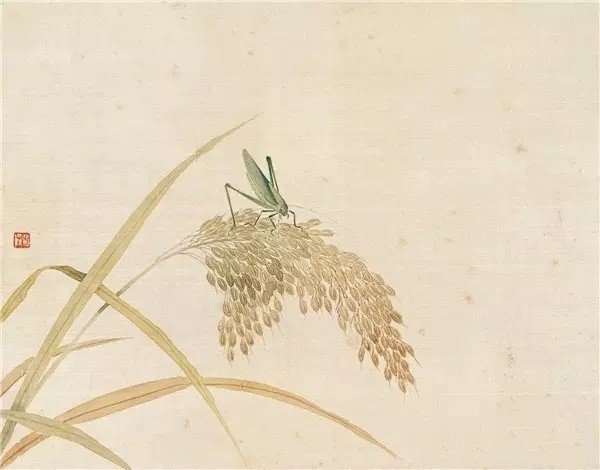 齐白石先生绘稻香图作品欣赏