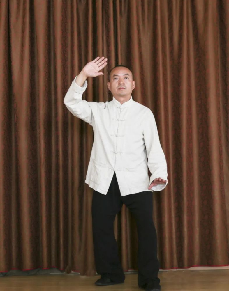 保中拳艺高人高见一一说说白鹤亮翅