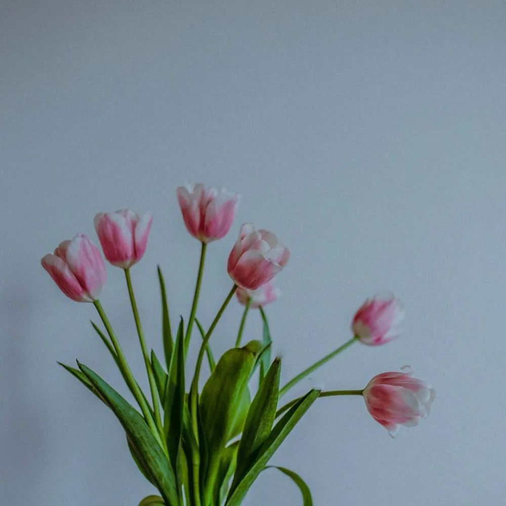 这样的背景图你喜欢吗