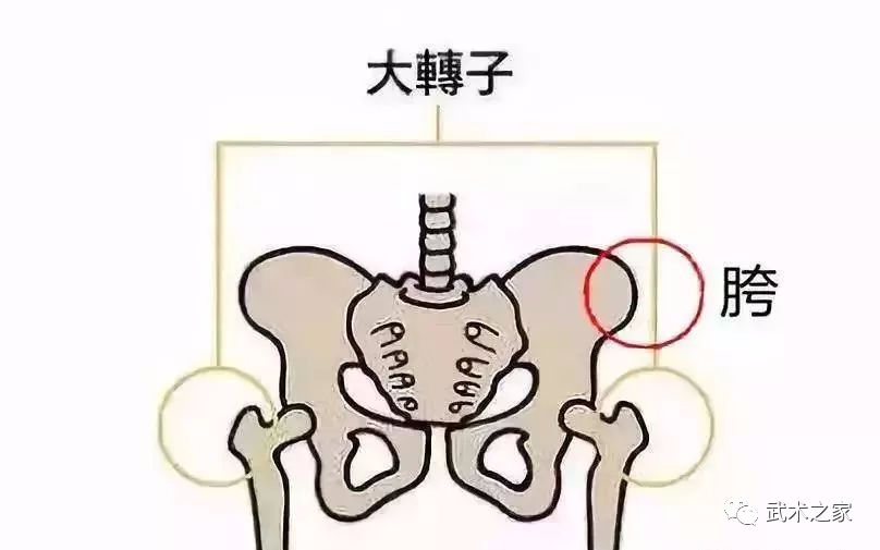 落胯虽难,威力无穷!
