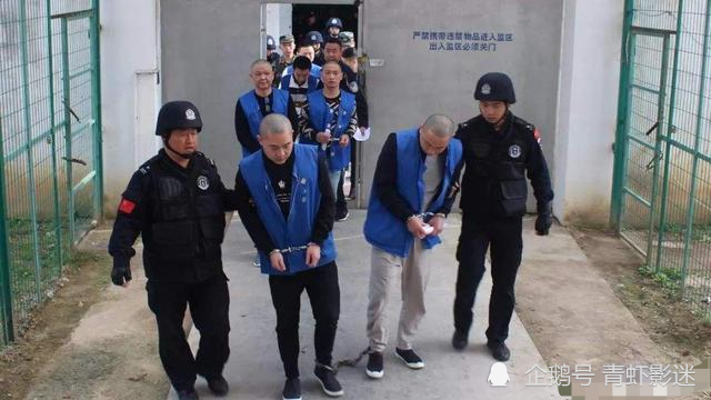 湖北黑社会组织程金柱犯罪团伙覆灭记