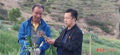 泉湾村人口_临洮县辛店镇泉湾村:打好“蒜”盘“苗”准市场助力乡村产业振兴