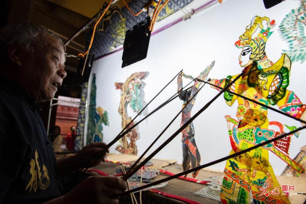 四川阆中人类非遗中国皮影戏展示十年履约成果