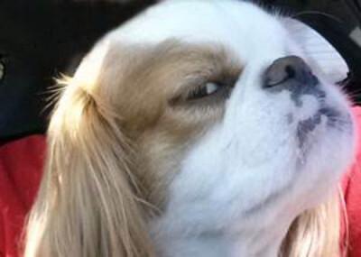 你可能在30℃ 的高温下抬头看看天然后轻蔑一笑:"就这?