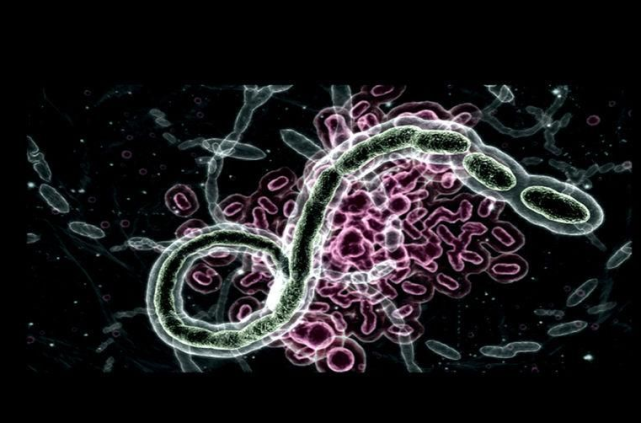 生化危机系列中所有病毒的起源始祖病毒是怎么来的它源自非洲