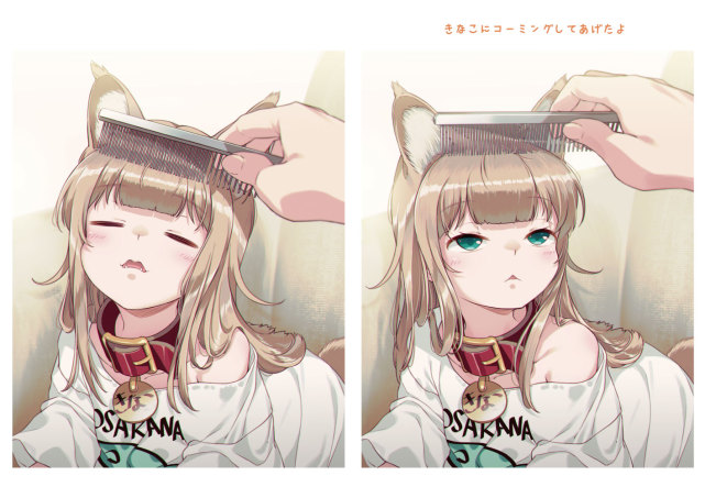 糟糕,40原老师最近都没咋画猫耳娘,而是专心晒猫了!