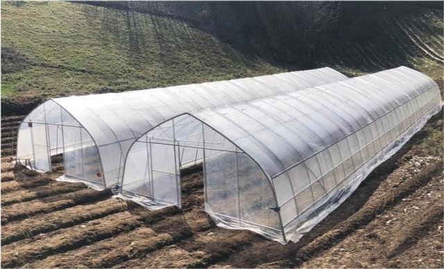 冷棚底角高度多少合适怎么样