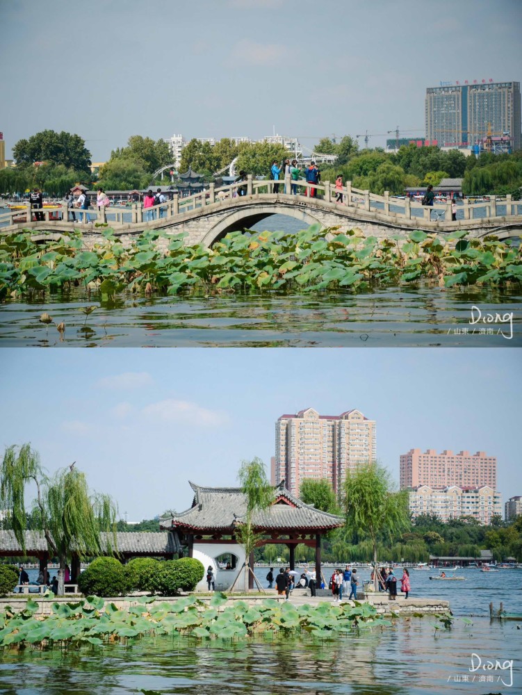 大明湖畔(大明湖畔夏雨)