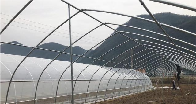 冷棚底角高度多少合适怎么样