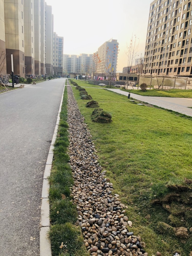 水流速度等数据计算出来的,通过雨落管,排水沟和植草沟的系统改造