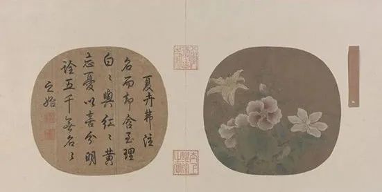 《夏卉骈芳图页》南宋
