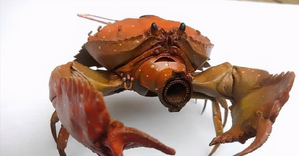 模玩控:金属化机械螃蟹坦克模型,创意十足_腾讯新闻