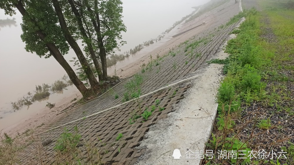 祁陽市觀音灘鎮湘江河防洪堤已經全部完工,今年還起到了作用