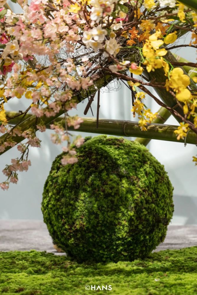 初夏武汉,打卡最仙植物艺术展