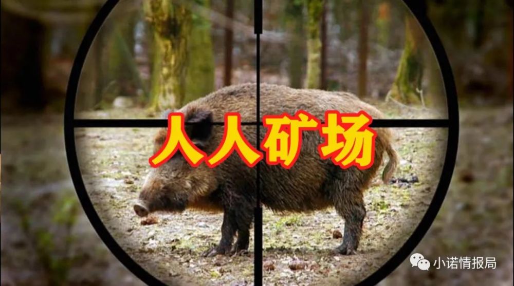 “人人矿场”操盘团队被曝出 起底运行多年未崩