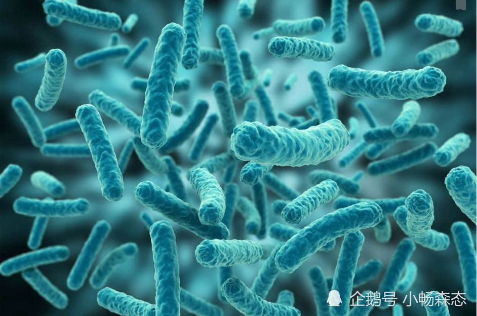 消失的微生物.azw3肠道微生物对人健康影响