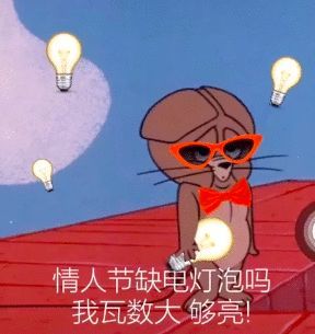 表情电灯泡表情包搞笑合集
