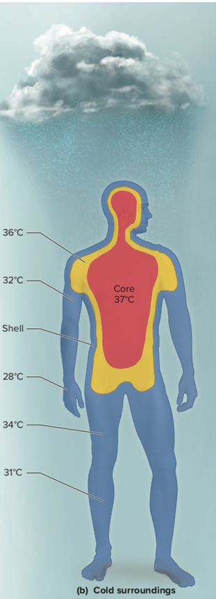 失温不同于冻伤的是它会造成人体核心区体温降低.