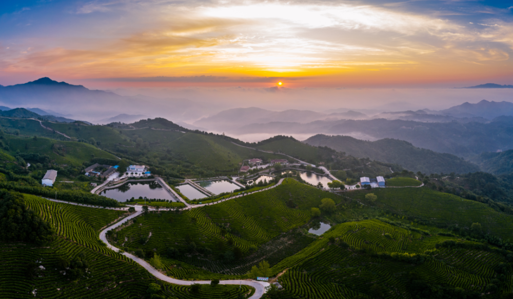 大悟:一方产业兴旺的厚土