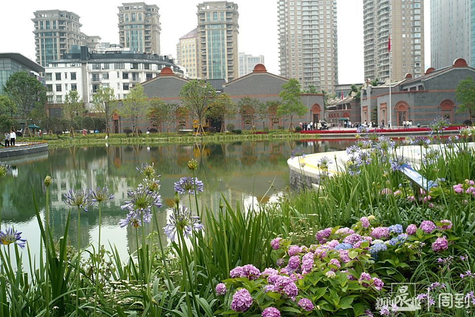 新天地太平桥景观绿地全新亮相,湖畔百米花带美轮美奂|晨镜头