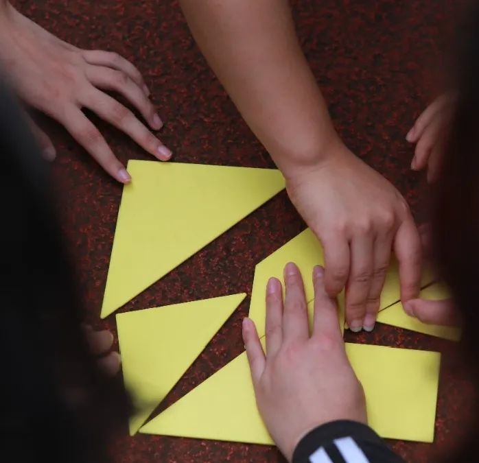 最强大脑来袭七巧板大家都玩过,那么十四巧板你有玩过吗?