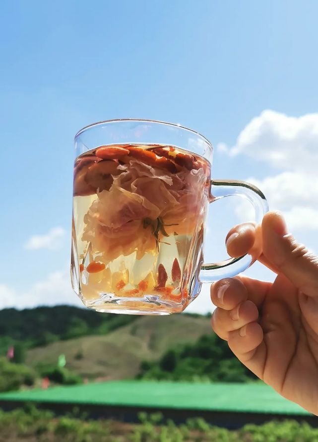 中上旬) 油菜花(6月初至6月底) 百合(6月底至7月中上旬) 向日葵(7月初